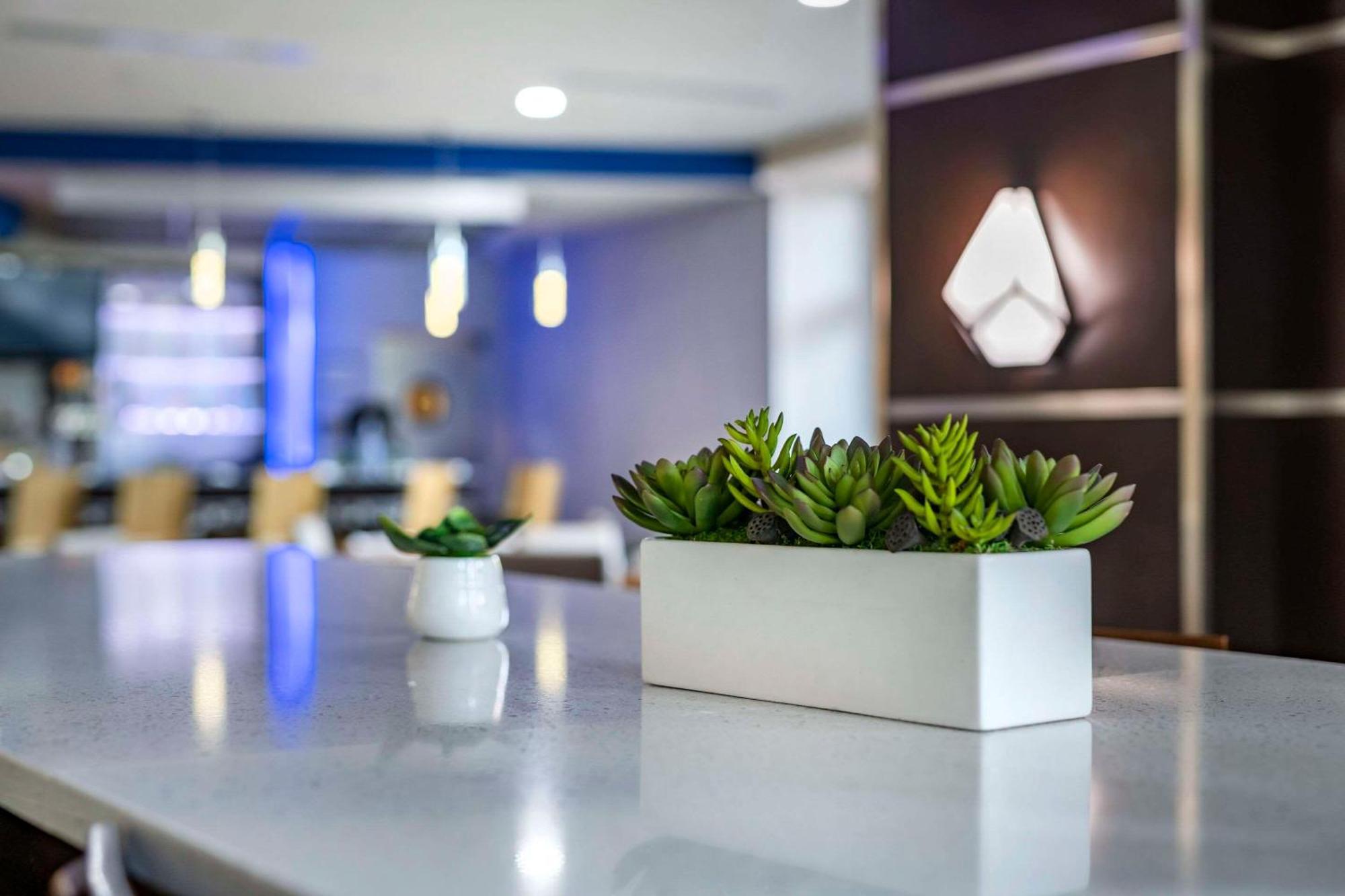 Cambria Hotel Ft Lauderdale, Airport South&Cruise Port Dania Beach Buitenkant foto